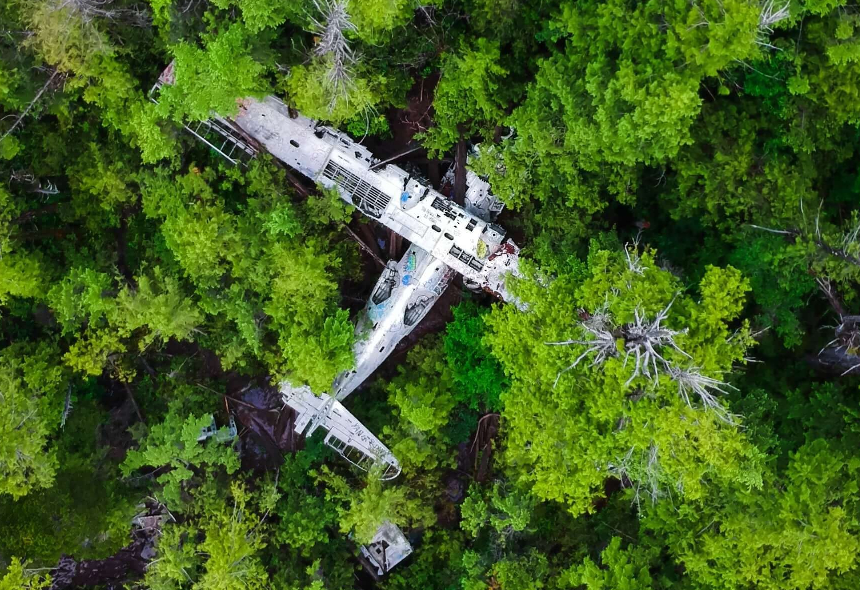 airplane wreckage