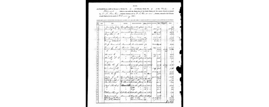1865 Tax Assessment Monmouth, Warren, Illinois